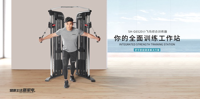 YABO健身器材-小飞鸟综合训练器SH-G6520